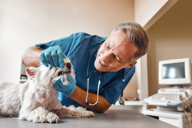 Best Weekend Emergency Dentist in Jonesboro, GA